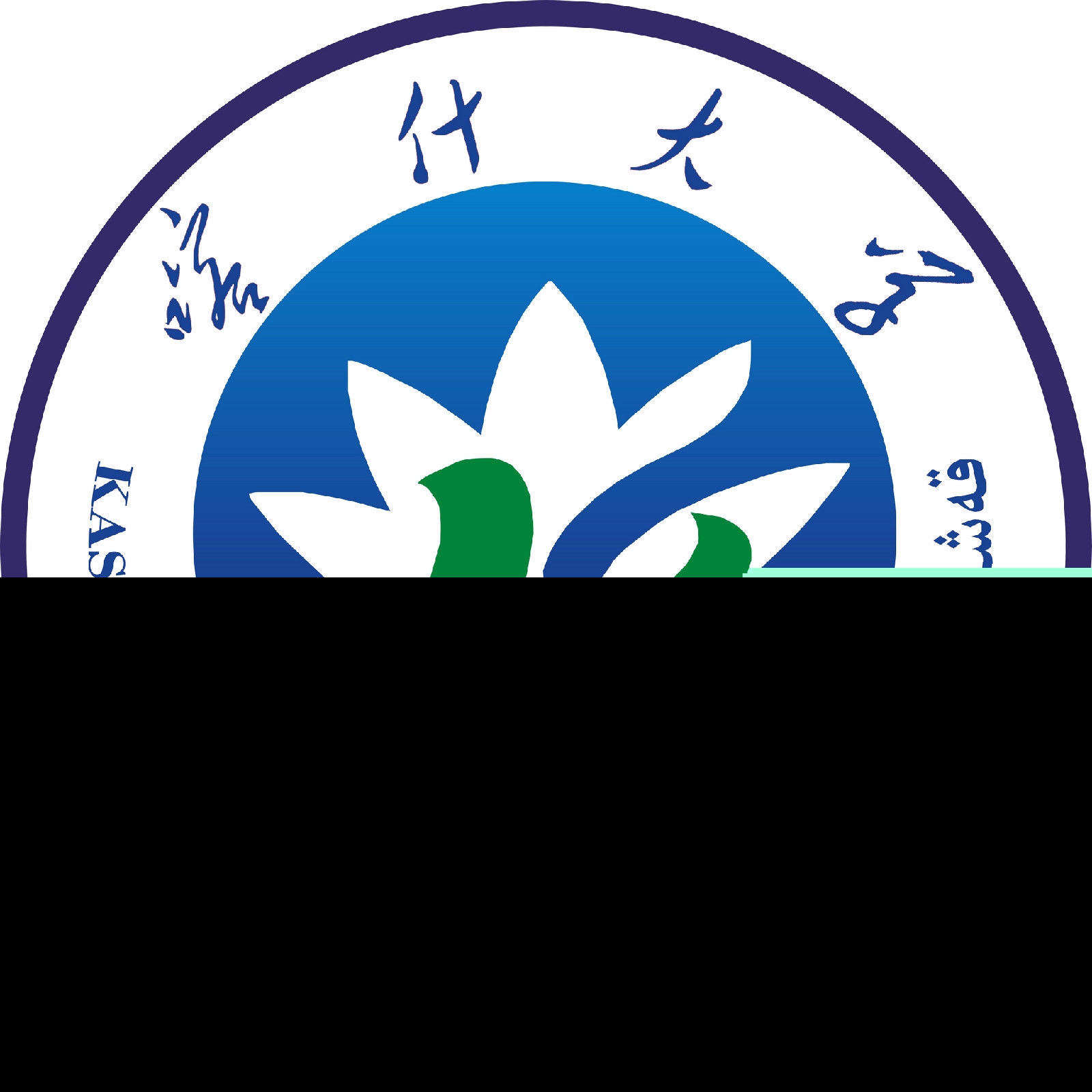 喀什大学